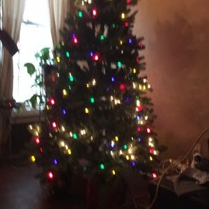 Meet your Posher, Bob